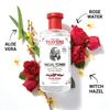 Thayers Rose Petal Witch Hazel with Aloe Vera - 12 oz.(2 pack)