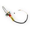 RIELLO 4365986 IGNITION AND FLAME DETECTION ELECTRODE FOR BOILER