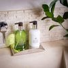 Molton Brown Lime and Patchouli Hand Lotion 300 ml