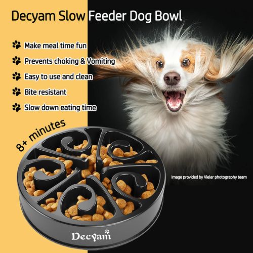 Decyam Anti Groove Dog Bowl Slow Feeding Slow Feeder Dog Bowl (Meium Black Flower)