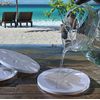 Fish School Drink Coasters | Absorbent Stone | (Set of 4)
