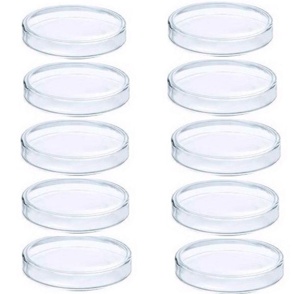 Set of 10, Petri Dishes, Culture Plates, Cells, Microorganisms, Plastic, Clear Containers, Laboratory, Experiments, Diameter 3.5 inches (90 mm)