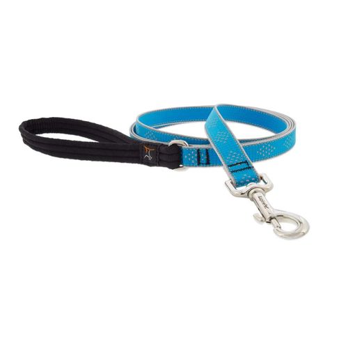 Lupine Reflective Dog Leash 4-Foot by 3/4" Wide Blue Diamond