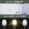 Musashi RITEX Anywhere Sensor Light 300 ASL – 097