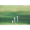 Pride PTS Plastic Golf Tees - 30 Count, 3 1/4 Inch - #1 Tee on Tour - Striped for Height Consistency - Improve Distance and Accuracy