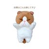 Naito Design Laboratory, Bo Like Cat (Chabo)