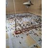 100+ brown pharaoh coturnix quail hatching eggs for sale