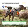 Julius-K9 Mantrailing Harness, Size: XS, Black