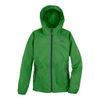 NORTH FACE ALTIMONT HOODIE