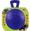 Jolly Ball For Equine
