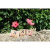 moon peach soap