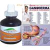 Ganoderma  reishi LIQUID EXTRACT SUPPLEMENT Blood Sugar Levels Fast Acting 60 ML