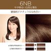 L'Oréal Paris Excellence R Liquid Type Dye for Gray Hair, 6NB Slightly Bright Natural Chestnut Color Main Unit [Quasi-Drug]