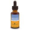 Herb Pharm Sarsaparilla Liquid Extract for Cleansing and Detoxification - 1 Ounce