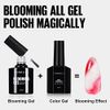 TOMICCA Clear Blooming Gel Nail Polish,Soak Off UV LED Blossom Gel Nail Polish for Spreading Effect,Nail Painting, Marble,Natural Stone,Watercolor Blooming Gel Polish Nail Art Design Manicure