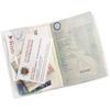 RockParty Clear Protective Passport Holders (2)