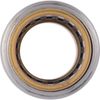 SharkBite U134LFA Pipe Connector, 3/4 in, MNPT, Brass, 200 psi Pressure