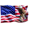 American Flag Eagle Perched on Tree Branch Decal (18" x 11")