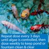 API PondCare AlgaeFix 1 Gallon Pond Algae Control 169C