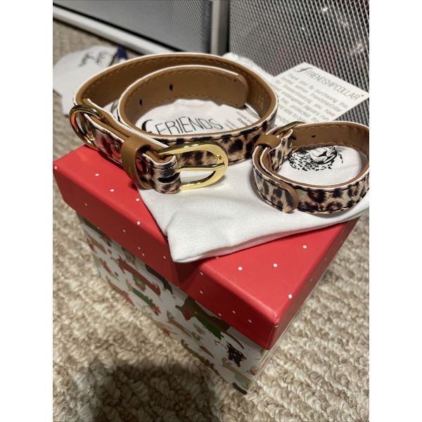 Friendship Collar Wild & Free Leopard Size Small Dog Collar and Human Bracelet