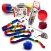Cat Interactive Assortment of Cat Toys