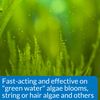 API ALGAEFIX Algae Control 1.25-Ounce Bottle, ALGAEFIX 1.25 OZ