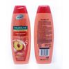 Palmolive 2 in 1 Hydra Balance Shampoo x 1