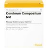 CEREBRUM COMPOSITUM NM Ampullen 10 St