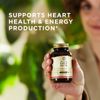 Solgar Megasorb CoQ-10 200 mg 60 Softgels