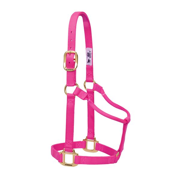 Weaver Leather Original Non-Adjustable Nylon Horse Halter, Average, Diva Pink