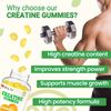 Create Creatine Monohydrate Gummies for Men & Women: Strength, Orange 120ct