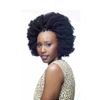 Cherish Bulk - Afro Kinky 24" (4)