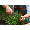 FELCO 455 All-Purpose Floral Scissor