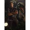 Poster A4 Pattern Q Jurassic World (2015) Glossy Print