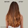 WELLA PROFESSIONALS Fusion Hair Conditioners