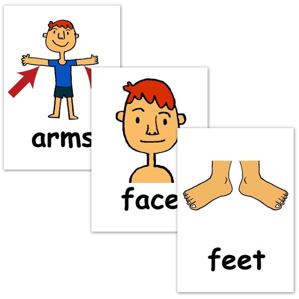 Flash Cards (Body Parts) - Postcard Size - English Card.com Flashcards, English word cards (Body parts) - Postcard size