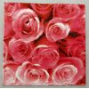 Paper napkins sold individually! 5 each