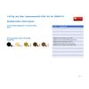 1:35 Soviet Tank Ammo-loading Crew Special Edition Set