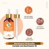 Crysalis Ravintsara (Cinnamomum Camphora) Oil - 30 ml/1.01 fl oz