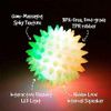 Gnawsome Squeak and Light Football,Multicolor,2.5",10010