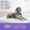 PETSWORLD Great Dane Dog Training Pads 36x36, Case 100
