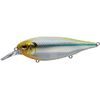 EVERGREEN XOVER #422 Secret Ghost Chart 3.5 inches (9 cm)
