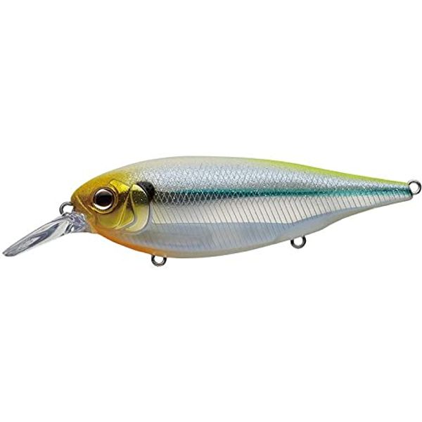 EVERGREEN XOVER #422 Secret Ghost Chart 3.5 inches (9 cm)