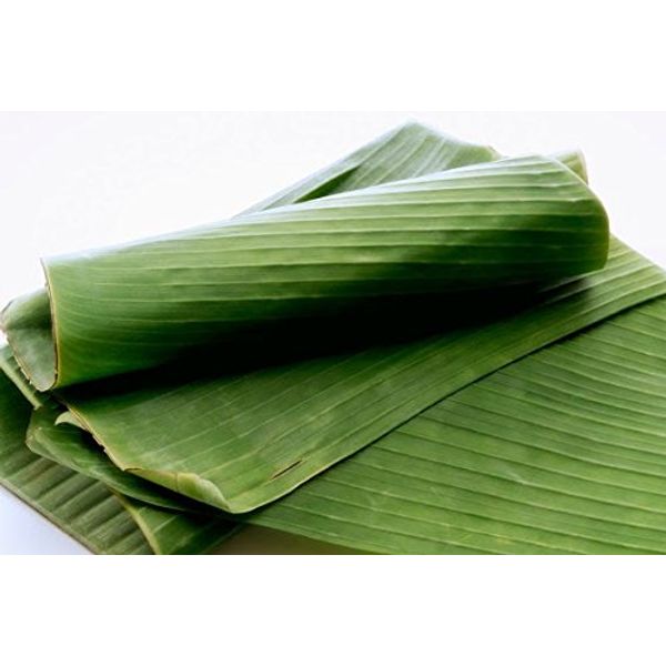 Fresh Banana Leaves 2 Lbs. Hoja de Platano