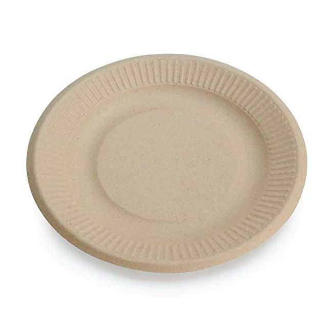 Comfy Package, 100% Compostable Heavy-Duty Paper Plates, Eco-Friendly  Disposable Sugarcane Plates - Brown Unbleached [125 Pack] 9 Inch