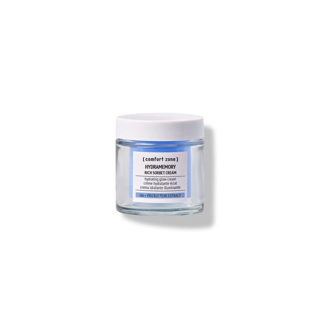 Hydramemory Rich Sorbet Cream