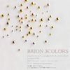 Bonnail Brion 3 Color Set