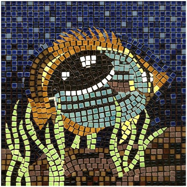 Mosaic Art Kit 7'' or 20cm Square DIY Fish_