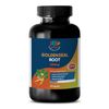 Hydrastis Canadensis Extract - 520MG GOLDENSEAL ROOT - Dietary Supplement - 1Bot