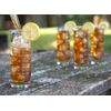 Laboratory Beaker Highball Glasses (Set of Two)